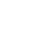 Understanding Your Business and Goals